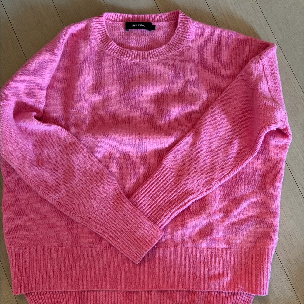 Elynn Wing Pink Crew Neck Sweater